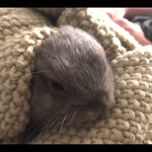 Meet your Posher, Alexandra